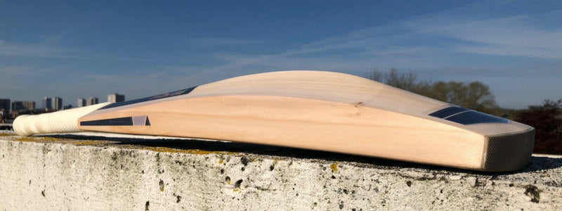 The Best Cricket Bats In The World