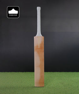2'10 Concave | Butterfly Cricket Bat #3350