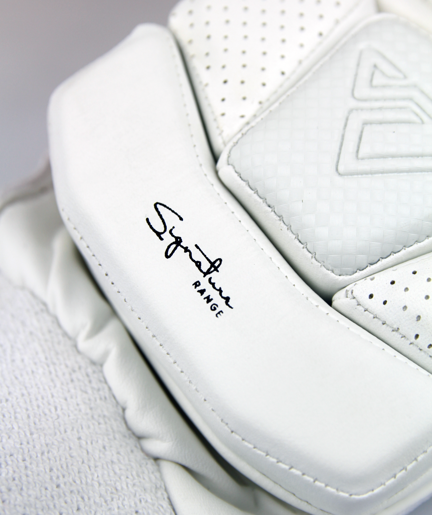 Signature Cricket Gloves