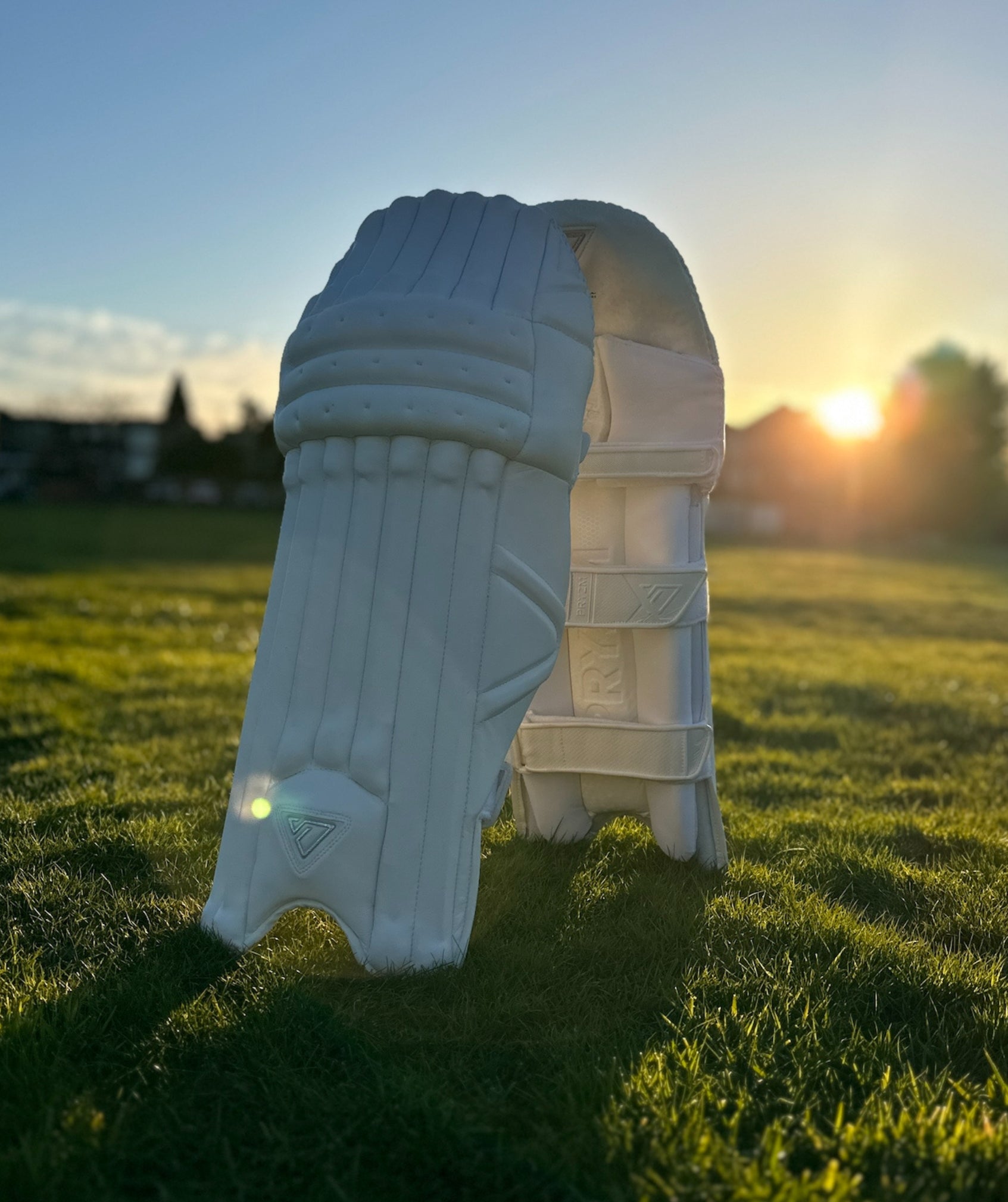 Signature Cricket Pads